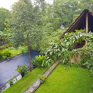 Hotel Il Frangipane, Sigiriya