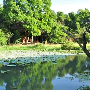 Back Of Beyond - Wild Haven Lodge